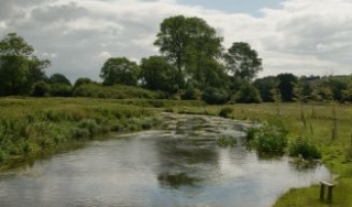Chalkstream fly fishing.jpg